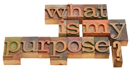 what_is_my_purpose